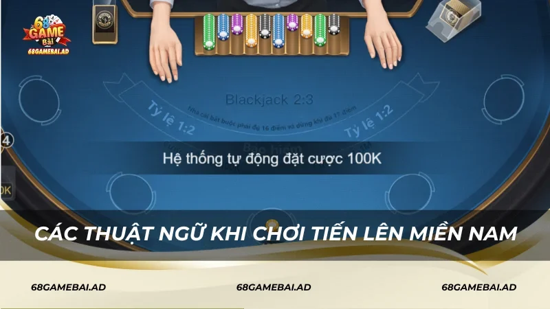 Các thuật ngữ khi chơi Tiến lên miền Nam