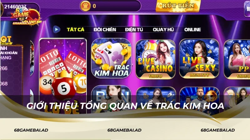 Giới thiệu tổng quan Trác Kim Hoa